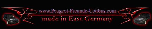 Banner Peugeot Freunde cottbus