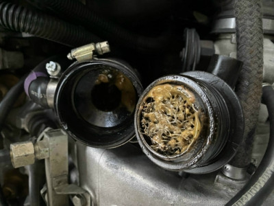 IMG_1044.jpg (159.93 KiB) 6789 mal betrachtet IMG_1044.jpg