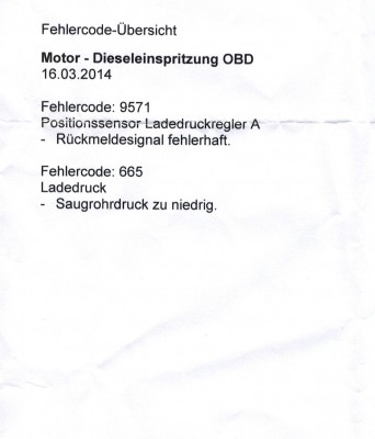 Fehlerprotokol Peugeot.jpg