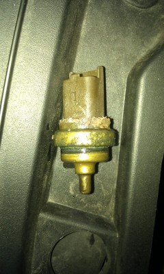 IMAG1294.jpg (233.2 KiB) 10385 mal betrachtet IMAG1294.jpg