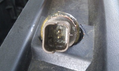 IMAG1305.jpg (64.96 KiB) 10386 mal betrachtet IMAG1305.jpg