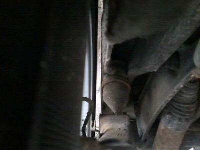 Radlauf links innen.jpg