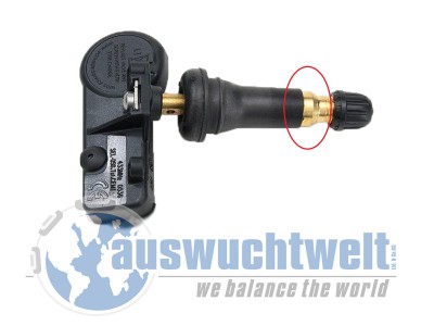 8363.jpg (195.57 KiB) 5461 mal betrachtet 8363.jpg