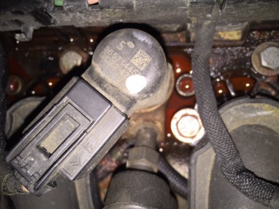 IMG_1744.JPG (124.81 KiB) 662 mal betrachtet IMG_1744.JPG