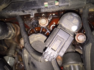 IMG_1746.JPG (133.77 KiB) 661 mal betrachtet IMG_1746.JPG