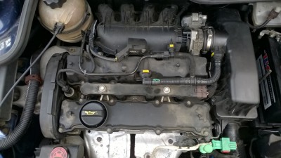 pgt.JPG (244.13 KiB) 2695 mal betrachtet pgt.JPG