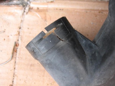 IMG_4262.JPG (43.49 KiB) 7847 mal betrachtet IMG_4262.JPG