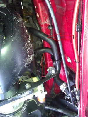 WP_000124.jpg (229.12 KiB) 2802 mal betrachtet WP_000124.jpg