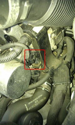 IMAG1293.jpg (224.21 KiB) 11271 mal betrachtet IMAG1293.jpg