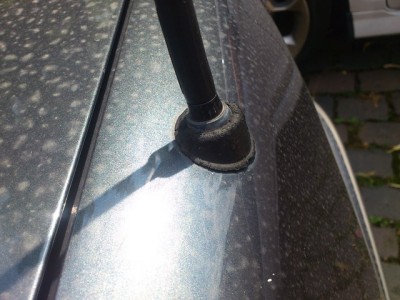 ant.jpg (103.89 KiB) 3650 mal betrachtet ant.jpg