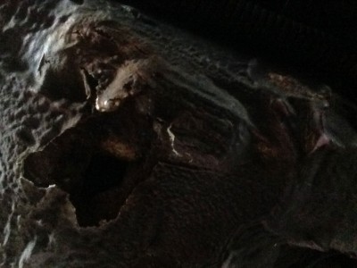 2014-08-17-12.52.05-(3).jpg (137.13 KiB) 4856 mal betrachtet 2014-08-17-12.52.05-(3).jpg