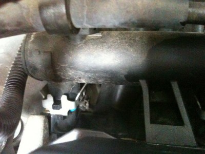 IMG_0456_1024x768.JPG (194.04 KiB) 3940 mal betrachtet IMG_0456_1024x768.JPG