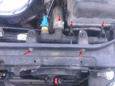 DSC_3491 - Kopie.JPG (110.5 KiB) 16646 mal betrachtet DSC_3491 - Kopie.JPG